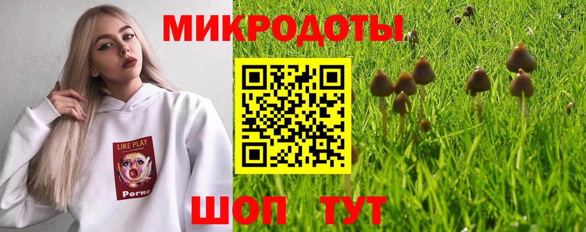Псилоцибиновые грибы GOLDEN TEACHER  Вход с VPN  Нижневартовск 